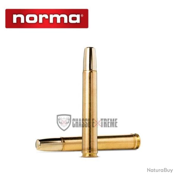 10 Munitions NORMA Solide Cal 458 Lott 500gr