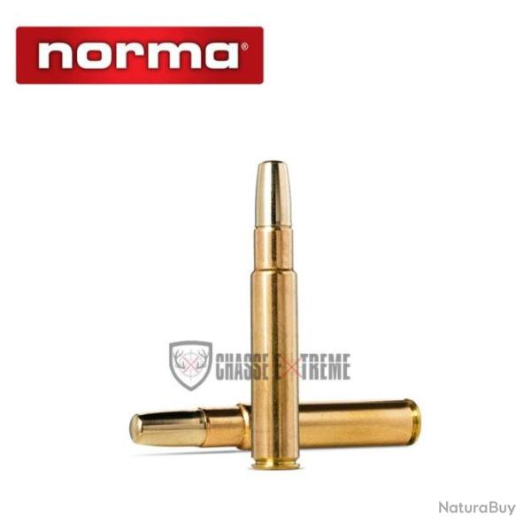 10 Munitions NORMA Solide Cal 450 Rigby Rimless 500gr