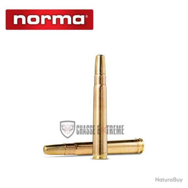 10 Munitions NORMA Solide 300gr Cal 375 H&H Mag