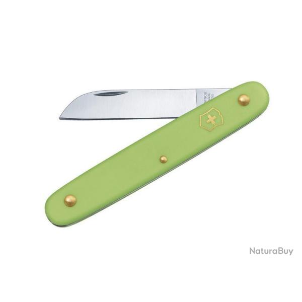 BLISTER COUTEAU JARDIN VICTORINOX VERT