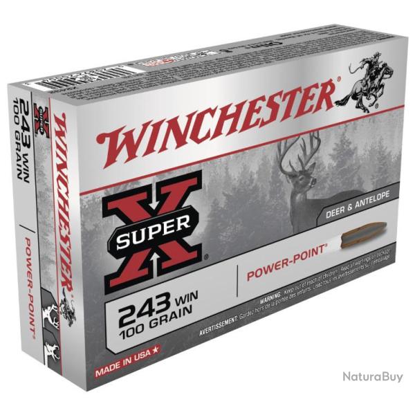 Desto - WINCHESTER POWER POINT 243 WIN 100 GRAINS