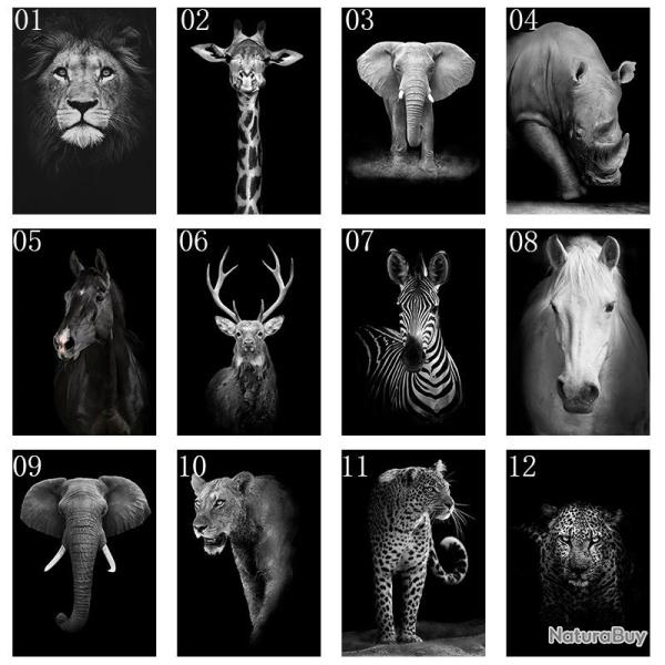 Tableau Peinture Impression sur Toile Animaux, Modele: 12, Taille: 60x90cm