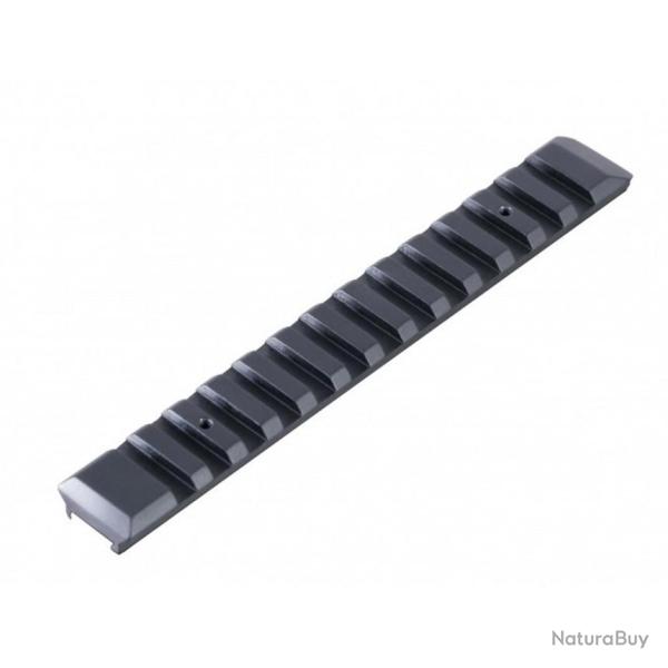 Rail picatinny