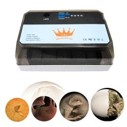 Incubateur Couveuse Automatique Pro -12 Oeufs 20260729082512