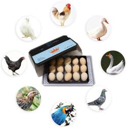 Incubateur Couveuse Automatique Pro -15 oeufs 20260729082512