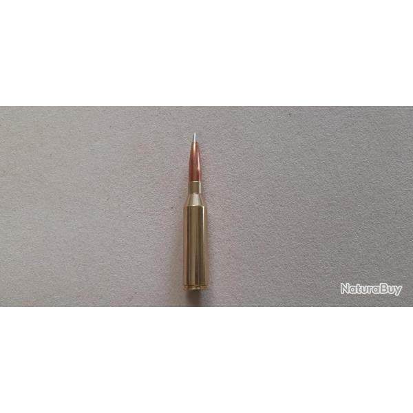 Munition de collection 300 NM - 250 grs A-TIP