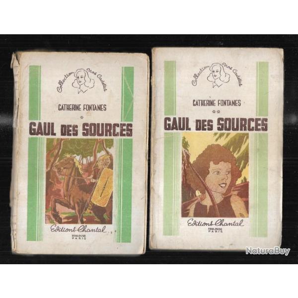 gaul des sources de catherine fontanes rcit de la gaule indpendante ,illustr pol ferjac