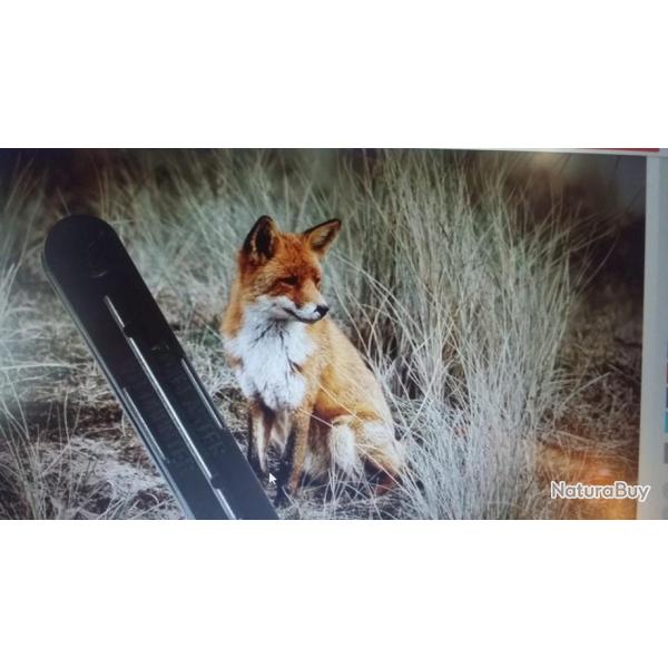 APPEAU RENARD  MAINS LIBRES a