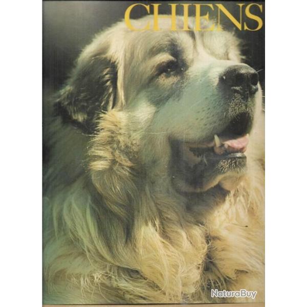 la passion des chiens collectif d'auteurs grund