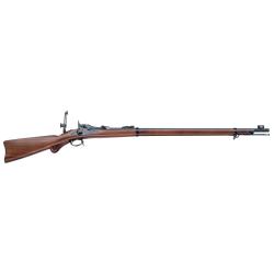 Carabine Springfield Tradoor long range avec Dioptre