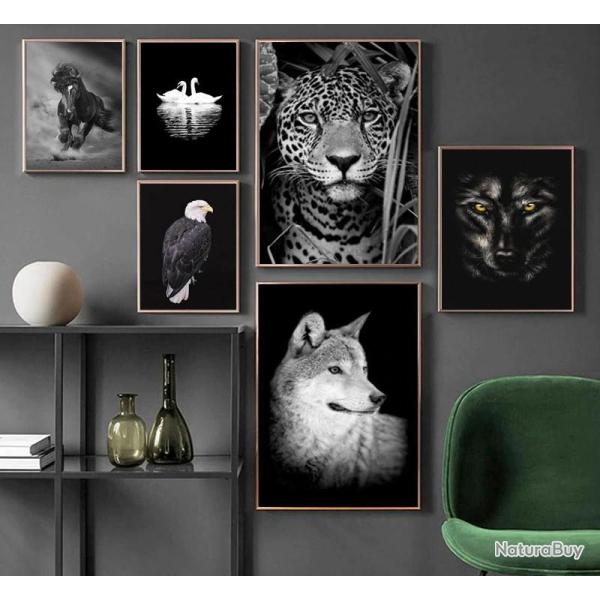 Peinture Impression HD sur Toile Animaux, Modele: Non, Taille: 60x90cm