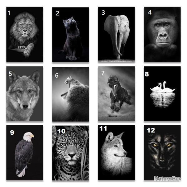 Peinture Impression HD sur Toile Animaux, Modele: 7, Taille: 60x90cm