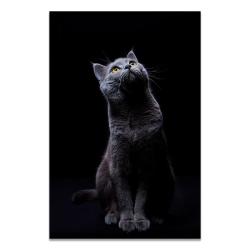 Peinture Impression HD sur Toile Animaux-2-21x30cm 20260729082512