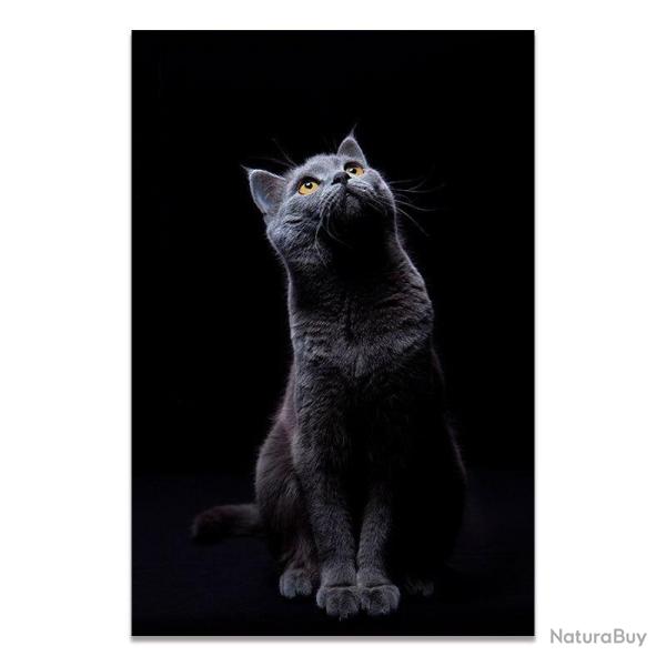 Peinture Impression HD sur Toile Animaux-2-21x30cm