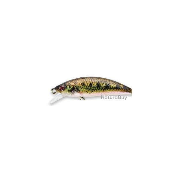 PHOXY MINNOW 40 HW SINKING NPC RL19