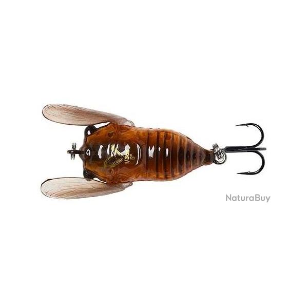CICADA 33 F 3.5GR NPC Brown