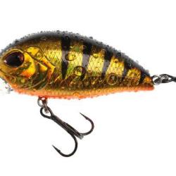 PURE XL 55F SR 116 NPC