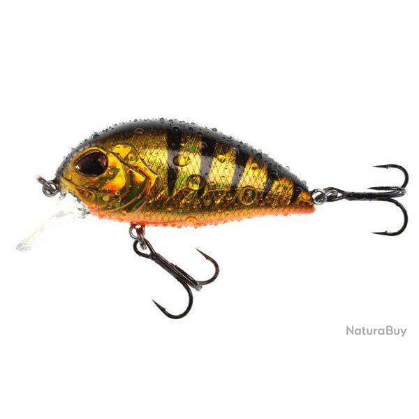 PURE XL 55F SR 116 NPC