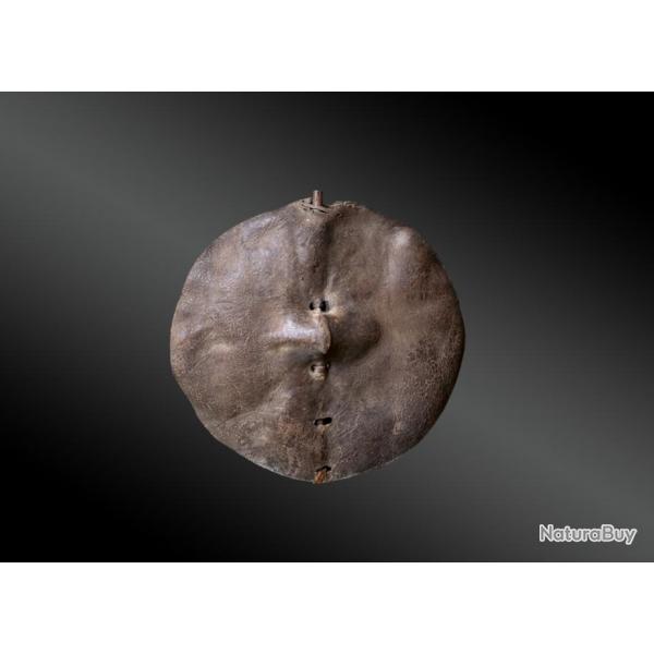 Bouclier Rond en Peau Culture Nyaturu, Rgion De Singida, Tanzanie