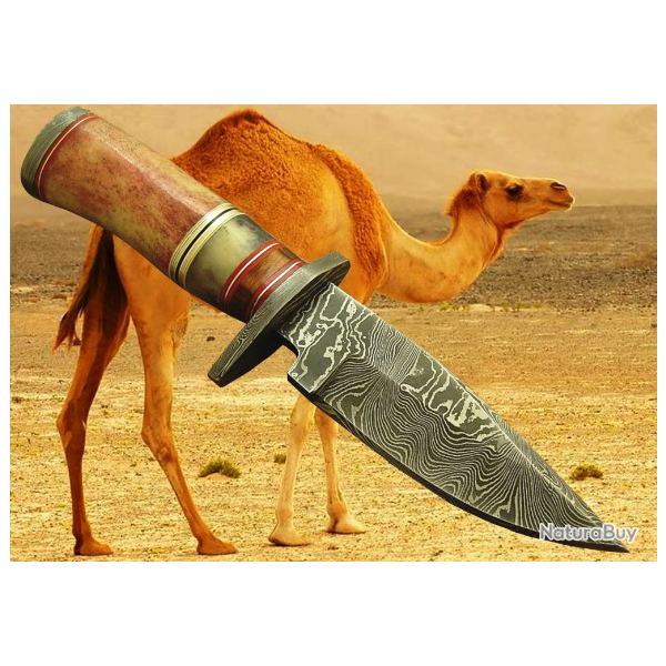 COLLECTION 2019 LAME  DAMAS CHASSE (  Manche poin�on avec poign�e en os bruni, poin�on et soie)