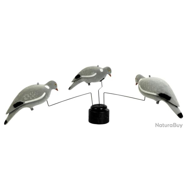 Man�ge Trois Pigeons Stepland Electrique