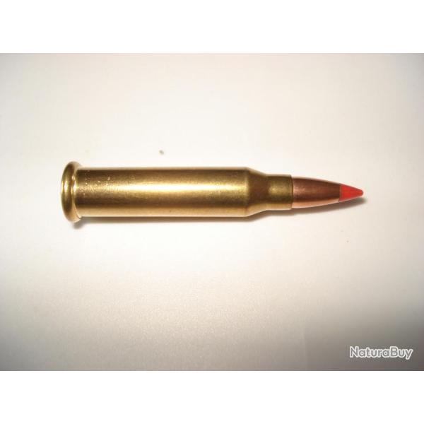 une cartouche de 17wsm winchester short magnum neuve de marque hornady ogive vmax pour collection