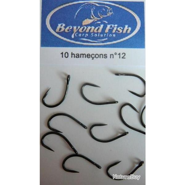 10 hameons carpe n12 sans ardillon