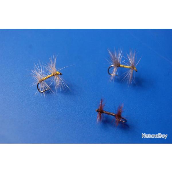 6 mouches double colerette