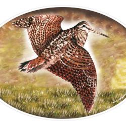 Stickers animaliers.B&eacute;casse