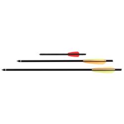 Traits d'arbal&egrave;tes Ek Archery