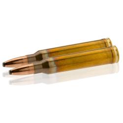 Munitions de grande chasse Geco .300 Winchester