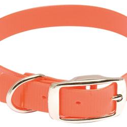 Collier pour chien Hiflex orange fluo - L 40 cm