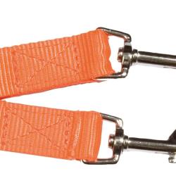 Accouple nylon orange fluo pour petits chiens