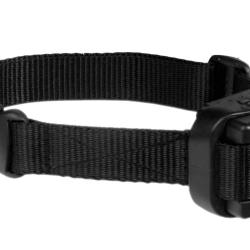 Joint pour collier anti-aboiement petits chiens - Dog Trace