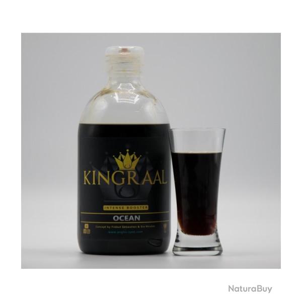 Booster Liquide Ocean 500ml Kingraal