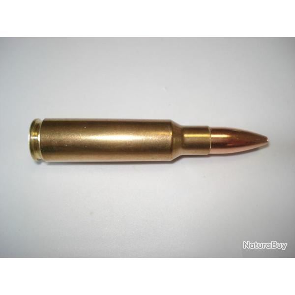une cartouche de 8,5x55 Blaser, ogive pointe creuse, pour collection