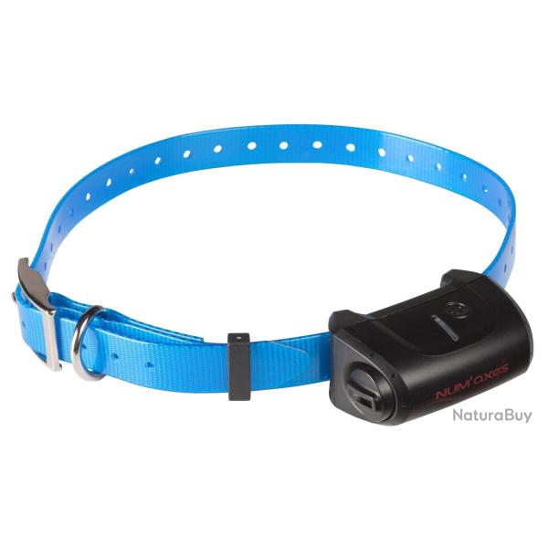 Collier seul Canicom 5 Bleu