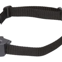 Collier seul pour Canifugue SMALL Num'Axes