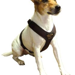 Niggeloh - Harnais Light S marron - cou 35 cm / ventre 39-63 cm