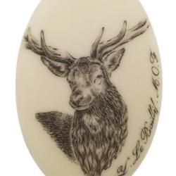 Calotte Ivoire Cerf