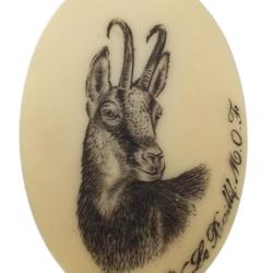 Calotte Ivoire Chamois