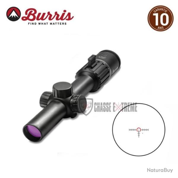 Lunette BURRIS Rt6 1-6x24 Ballistic Ar