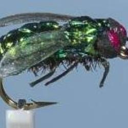 MOUCHE MOUCHE NOIRE H10