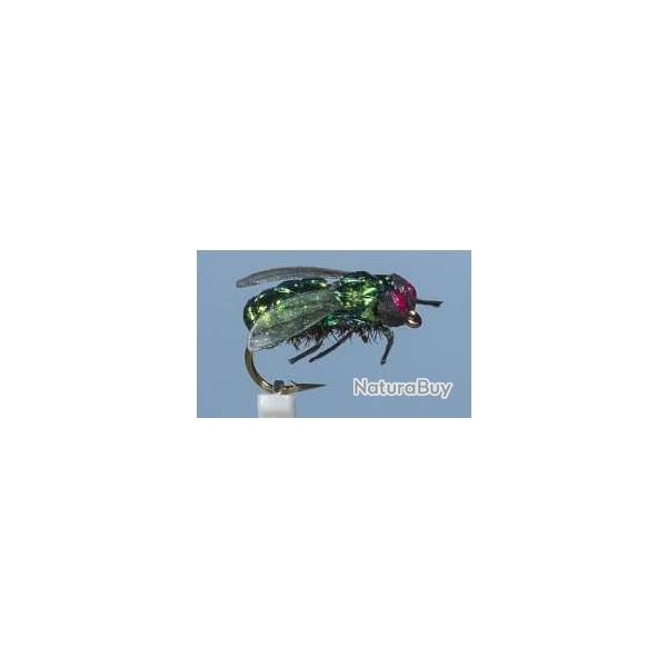 MOUCHE MOUCHE NOIRE H10