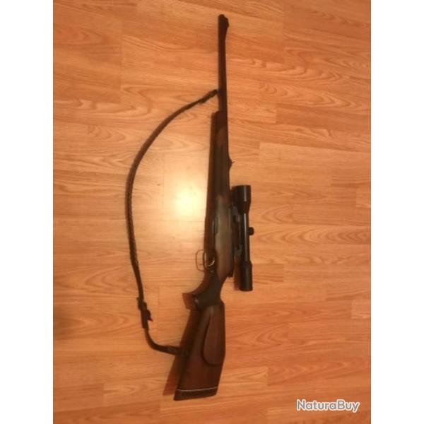 Carabine steyr malinncher