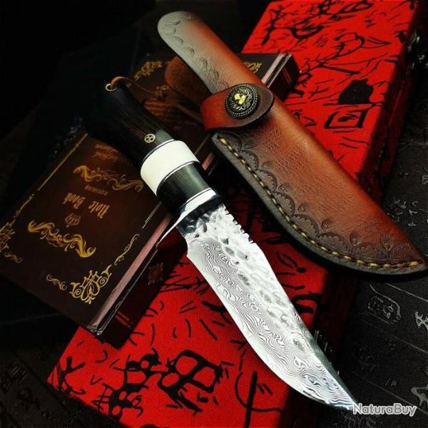 PEGASI couteau classique droit en acier damas, 67 couches, noyau en acier G10 LIVRAISON GRATUITE !!!