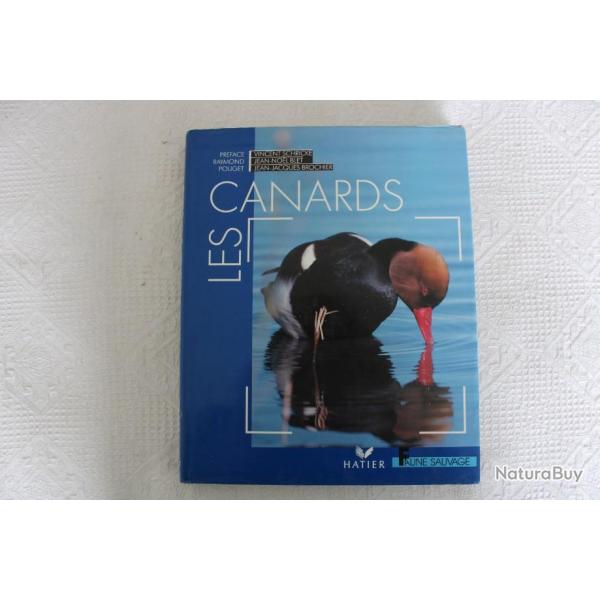 Faune sauvage, Les canards