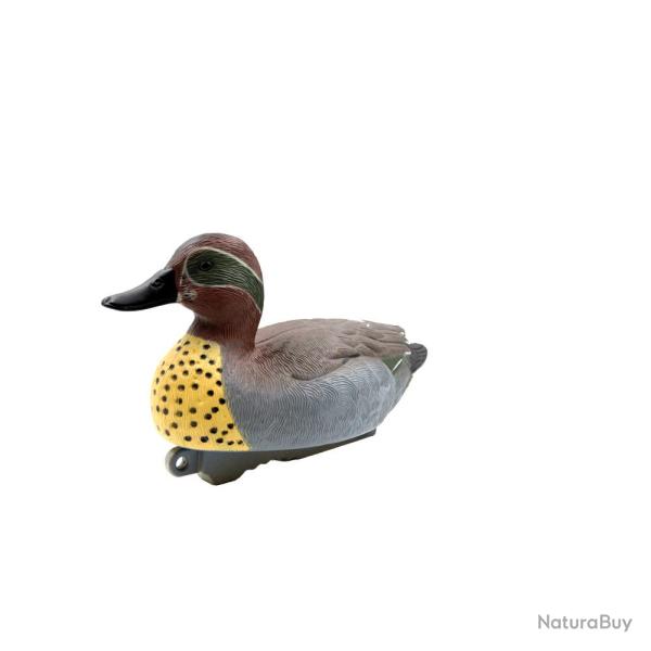 Pack de 6 blettes de Sarcelle d'hiver m�le Haute D�finition