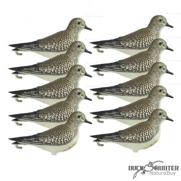 Forme de pluvier x10