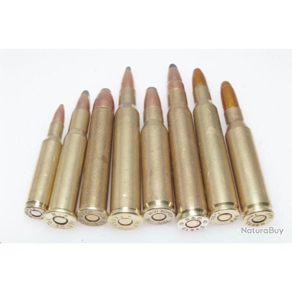 Collection de 8 cartouches calibres diffrents